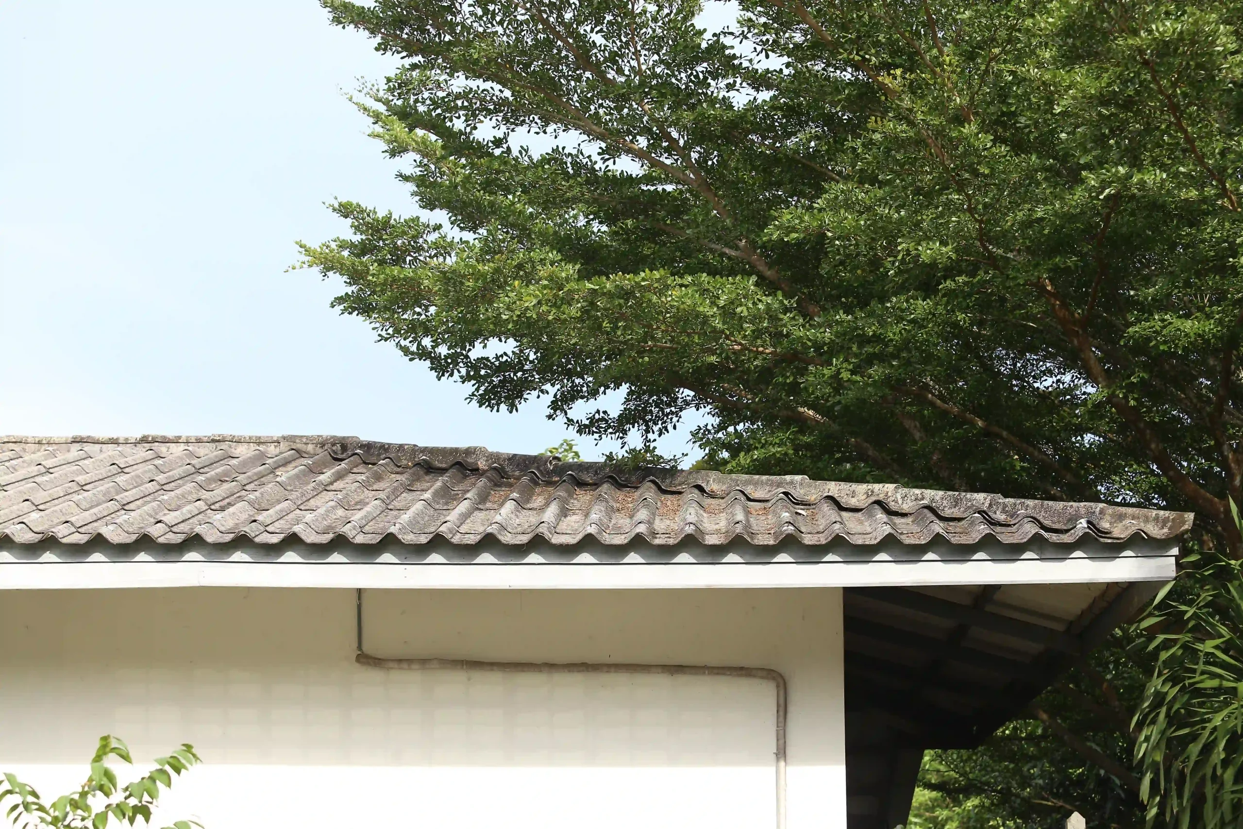 Tree branch overhanging a roof, a maintenance risk