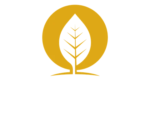 White Leaf Roofing